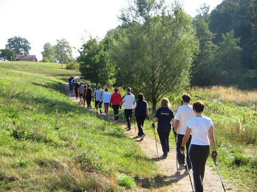 Nordic Walking zum Laufpark